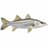 Robalo