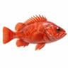 Rockfish
