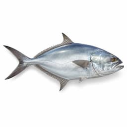 Akya (Leerfish)